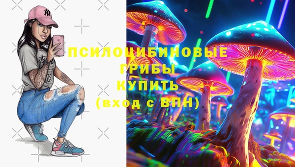 прущий лед Аркадак