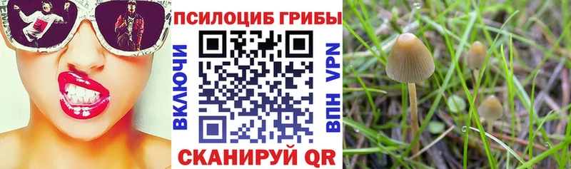 ссылка на мегу ссылка  Старый Крым  Галлюциногенные грибы MAGIC MUSHROOMS 